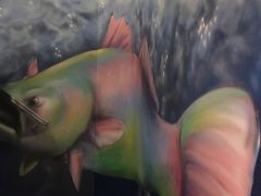 -Qiqihar Charcoal BBQ Caulfield 犇齐齐哈尔烤肉