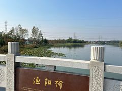 -南湖湿地公园