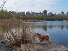 -马家湾湿地公园