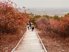 -北京西山国家森林公园