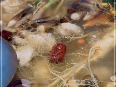 -千岛蚝高压锅生蚝·人参火锅(白云万达店)