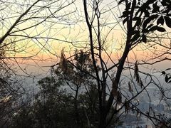 -杭州半山国家森林公园