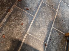 -巴人堂(女儿城店)