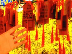 -皇家御河游(紫御湾码头)