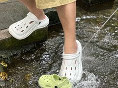 -成都市活水公园
