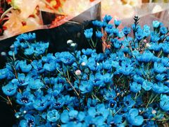 -花辰月夕花坊(北滨路店)