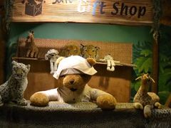 -济州岛泰迪熊博物馆