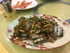 -鸿达渔港