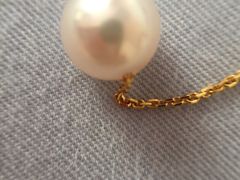 -MIKIMOTO(上海恒隆广场店)