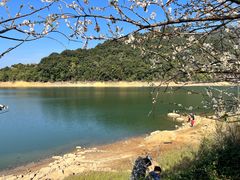 -广州市流溪河国家森林公园