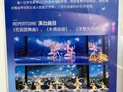 -中央芭蕾舞团·中芭艺蕾(酒仙桥明星校区)