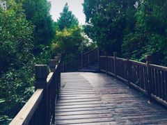 -仙海旅游度假区