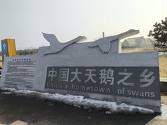 -烟墩角天鹅湖