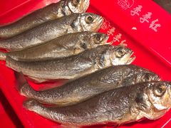 -季季红火锅(动壹店)
