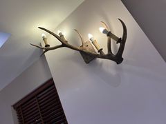 -鹿园 MOOSE(长宁店)