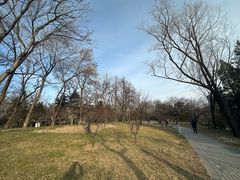 -玲珑塔公园
