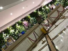 -三亚亚龙湾金棕榈度假酒店