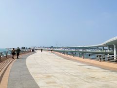 -演武大桥观景平台