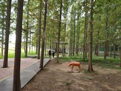 -南京金牛湖风景区