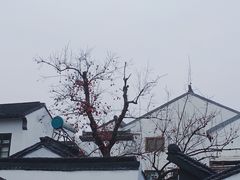 -北寺塔
