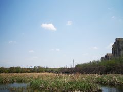-前关湿地公园