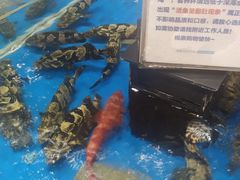 -盒马鲜生(龙德广场店)
