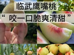 -郴州特产舜华临武鸭(郴州西站店)