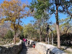 -阳台山自然风景区