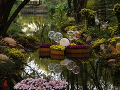 -上海共青森林公园