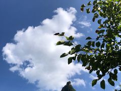 -神农架景区