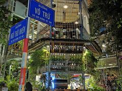 -Rainforest