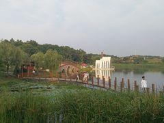 -大塘金香草谷