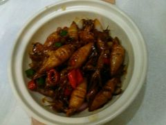 -蓬川食府(金海道店)