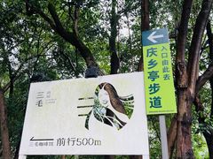 -南山植物园
