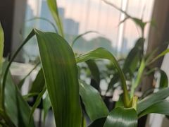 -时间仓(月湖公园店)