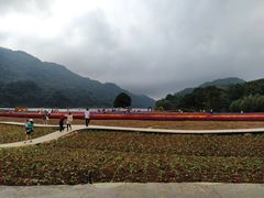 -广州市石门国家森林公园