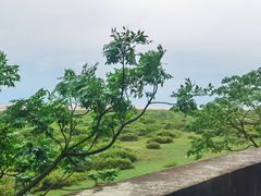 -北海金海湾红树林生态旅游区