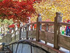 -庐山风景区花径公园