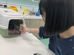 -北京观赏动物医院·24小时大型综合·猫专科·异宠专科