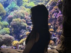 -南昌海洋公园