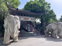 -华雅花园大酒店