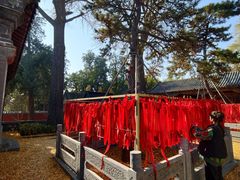 -泰山风景名胜区-普照寺