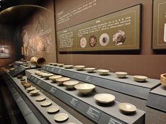 -广西壮族自治区博物馆