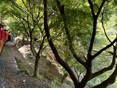 -岚山嵯峨野观光小火车