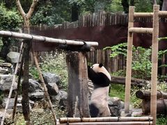 -杭州野生动物世界