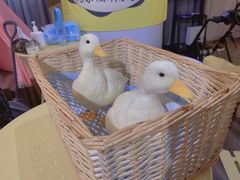 -浣熊柯尔鸭土拨鼠·电玩咖