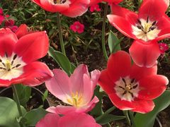 -南通洲际绿博园