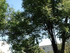 -新白家罩饼(三丰路店)