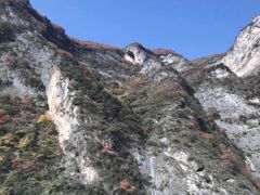 -秦岭风景区