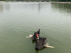 -长春世界雕塑园冰雪艺术天地